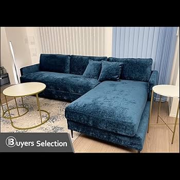 51yE80qV8RL._AC_UF350,