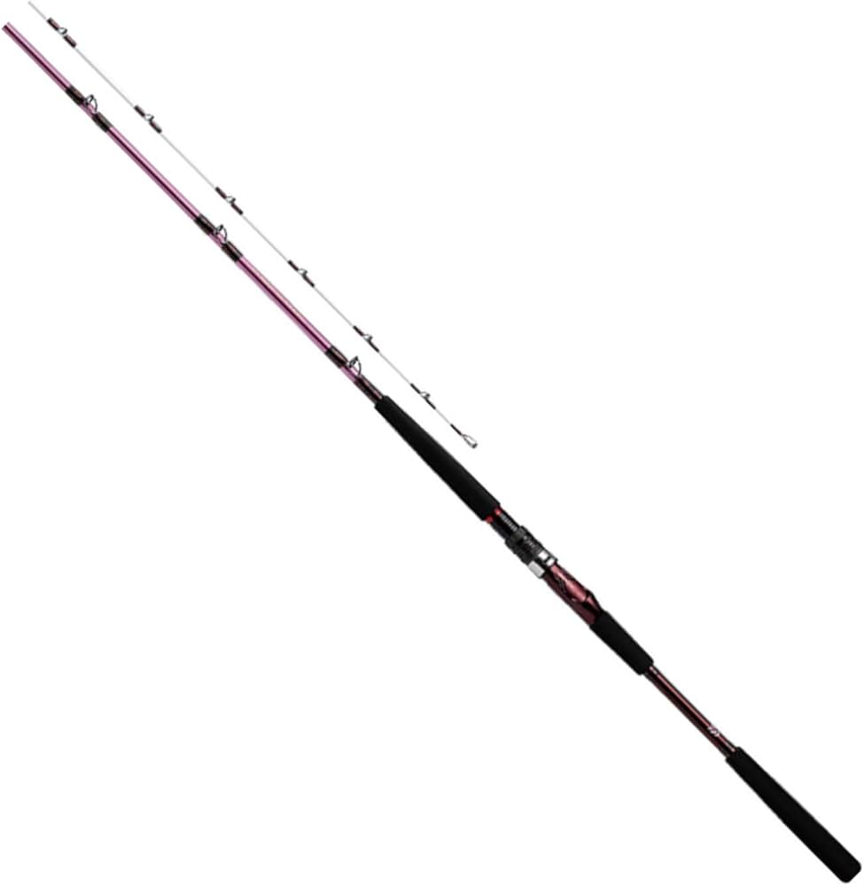 Amazon | ダイワ(DAIWA) 21 リーオマスター SX 青物 H-300・N | ダイワ