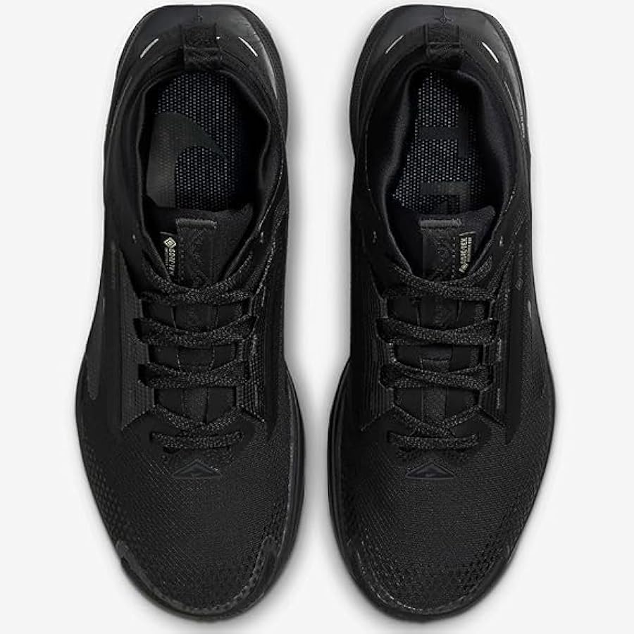 Amazon | [ナイキ] ペガサス トレイル 5 ゴア-テックス W Pegasus