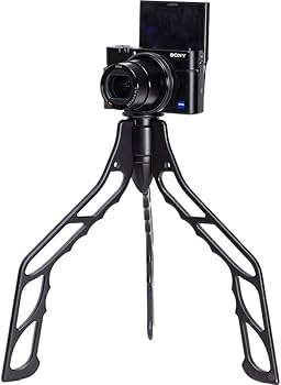 51ylqo8oTqL._AC_UF350,