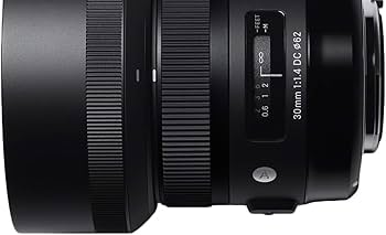 Amazon.com : Sigma 30mm F1.4 Art DC HSM Lens for Canon : Digital