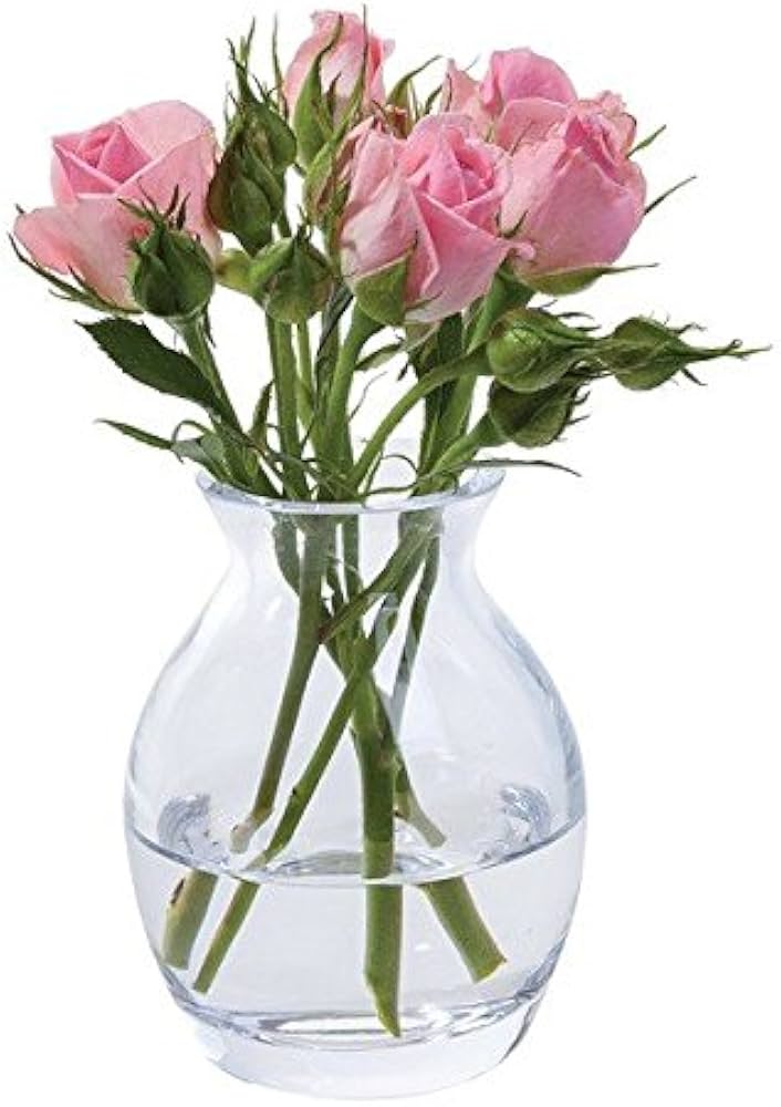 Amazon.com: Dartington Crystal Flower Garden Bloom Vase, 7x7x9 cm