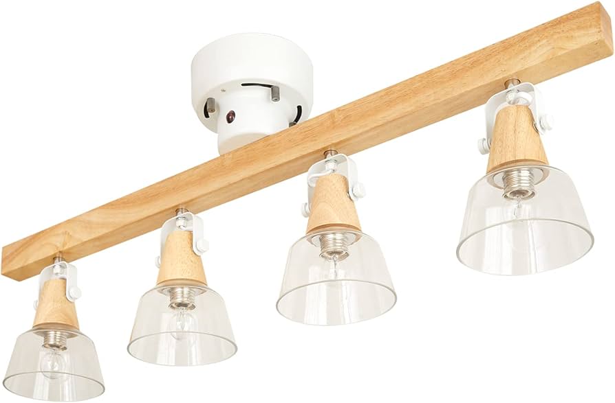 Amazon.co.jp : LOWYA ロウヤ 照明 スポットライト ガラスシェード