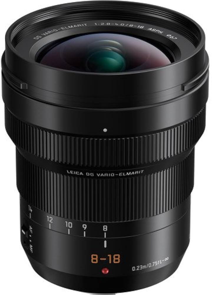 Amazon.co.jp: パナソニック ライカ DG Vario-Elmarit 8-18mm f/2.8-4