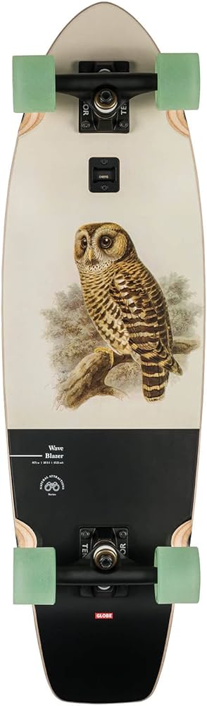 Amazon.com : GLOBE Skateboards Cruiser Complete : Sports & Outdoors