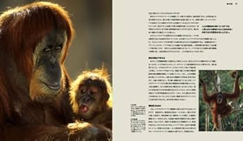 ビジュアル 類人猿 | デズモンド・モリスほか |本 | 通販 | Amazon