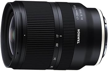 Amazon.com : Tamron 17-28mm f/2.8 Di III RXD for Sony Mirrorless