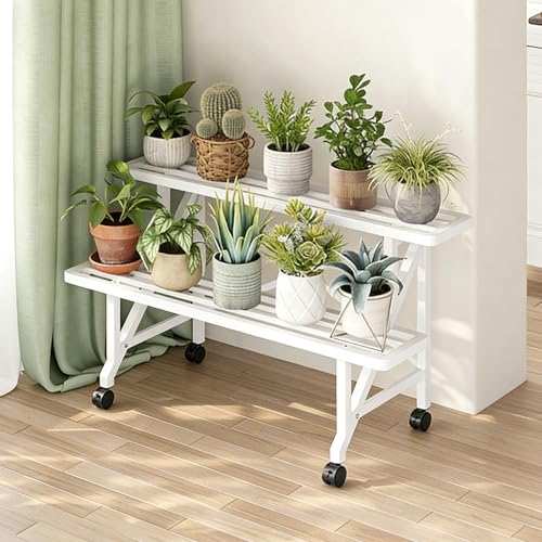 多肉植物 棚 2段」の人気商品一覧 | 安い商品を通販サイトから探す