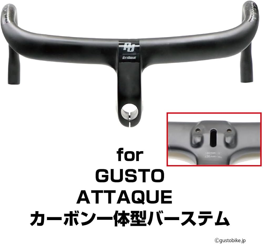 Amazon.co.jp: レックマウント(Rec-Mounts) グスト (ATTAQUE カーボン