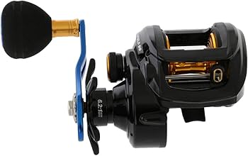 Amazon.co.jp: AbuGarcia (アブガルシア) OCEANFIELD BG 右巻き パワー