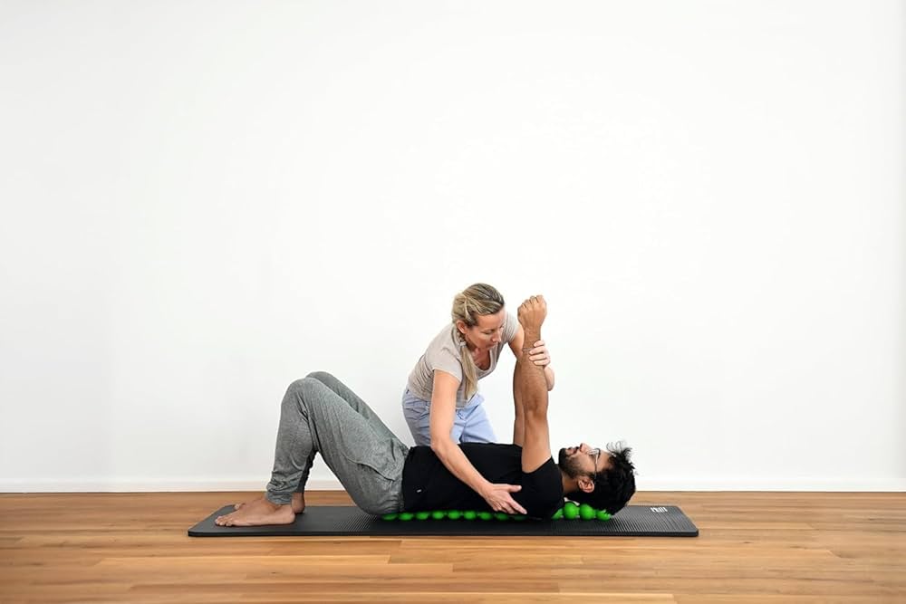 Amazon.co.jp: Sissel Spinefitter by Sissel 腰痛緩和用バックスト