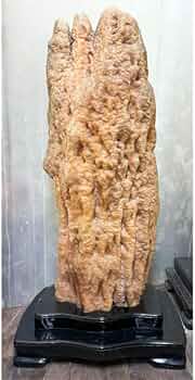 51CW9VWDx6L._AC_UF350,