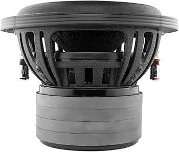 Amazon.com: DS18 ZXI10.2D High Excursion 10 Inches Car Audio