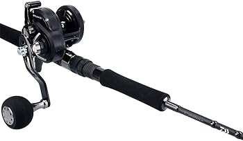 Amazon | ダイワ(DAIWA) ベイトリール 19 キャタリナ 15H(2019モデル