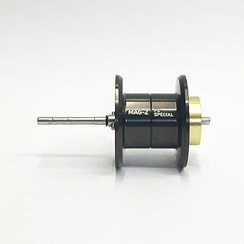 Amazon | 【ダイワ純正】23ソルティスト TW 100 PE SPECIAL 純正