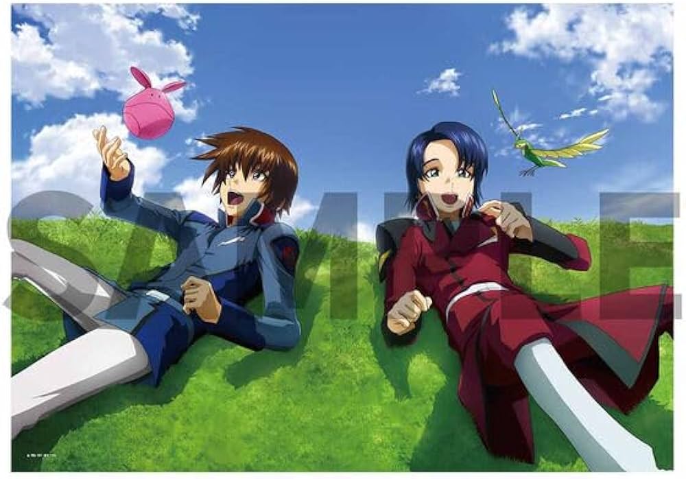 Amazon.co.jp: 機動戦士ガンダムSEED 20周年記念オフィシャルブック