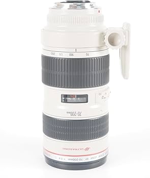 Canon EF 70-200mm f/2.8 L USM Lens : Amazon.ca: Electronics