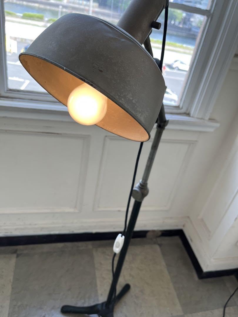 Amazon.co.jp: アンティーク工業用フロアライトブルックリン : ホーム