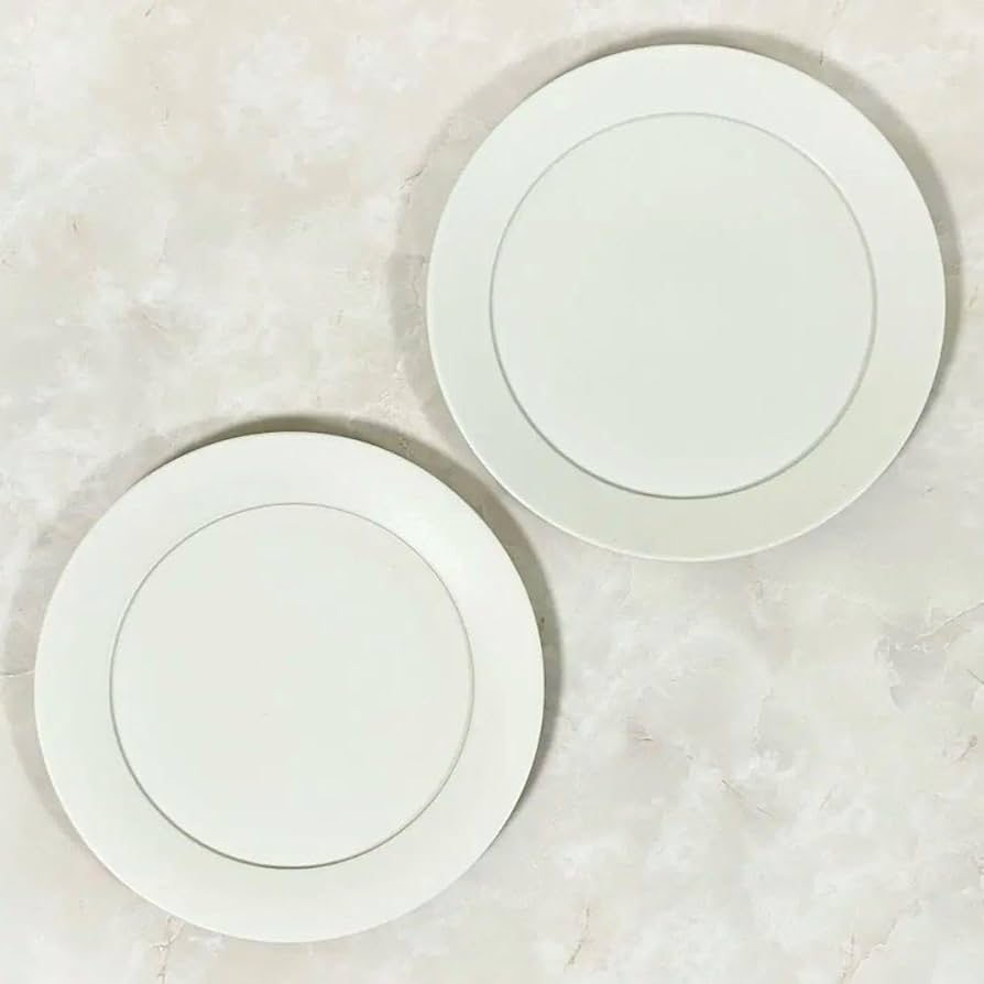 Amazon.co.jp: 大谷哲也 平皿 プレート 20cm 2枚 : ホーム＆キッチン