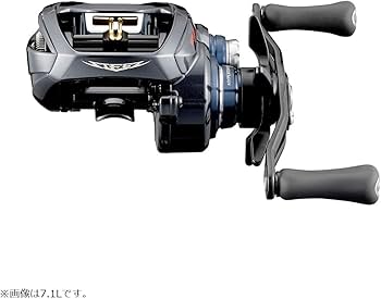Amazon | ダイワ(DAIWA) ベイトキャスティングリール スティーズ A TW