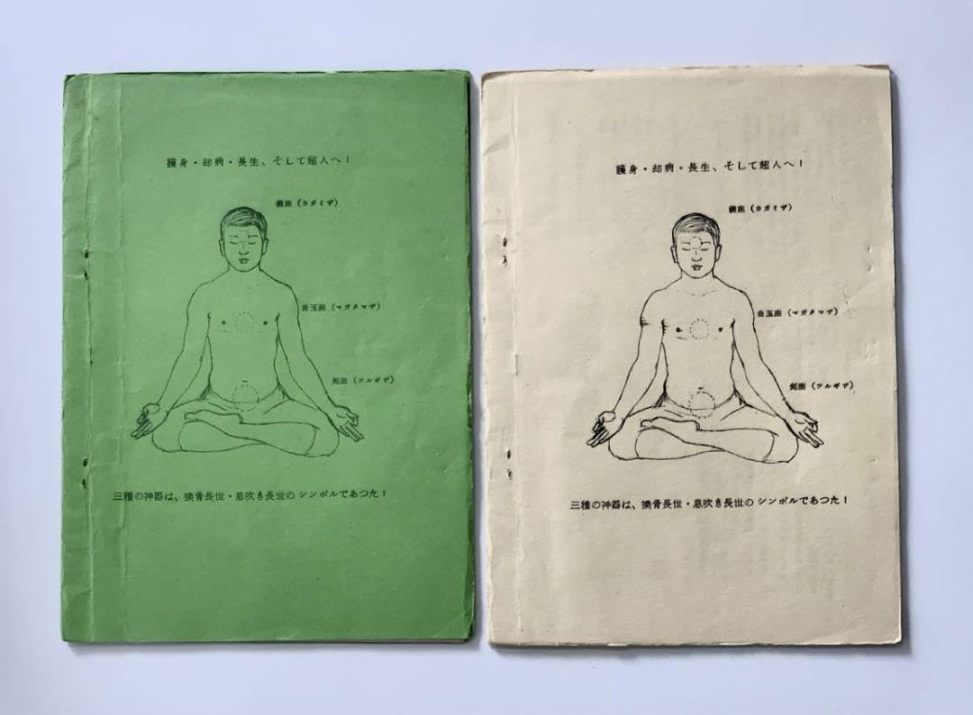 Amazon.co.jp: 超堀辺 正史 換骨拳 骨法 セット 拳法 武術 合気道 秘術