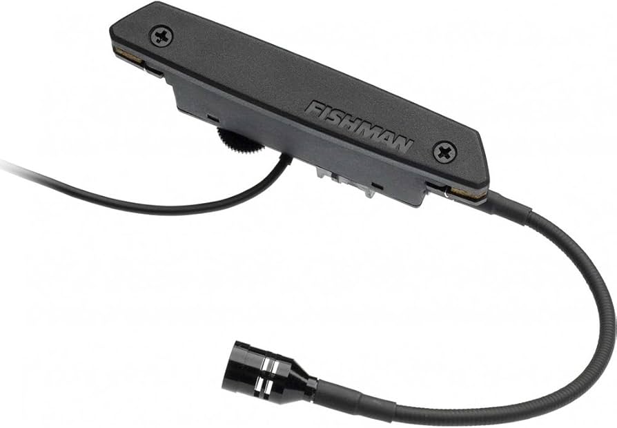 Amazon | FISHMAN Soundhole Pickups Rare Earth Blend レア・アース