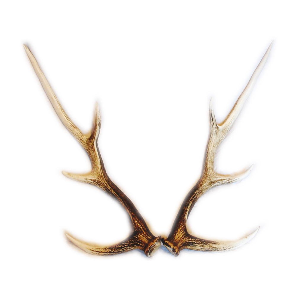 鹿茸1360g 蝦夷鹿エゾシカ