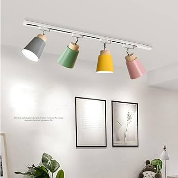 Amazon.co.jp : 直結式 配線ダクトレール ダクトレール ライティング