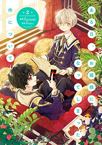 ある日、お姫様になってしまった件について 2 (Kindle版)』｜感想