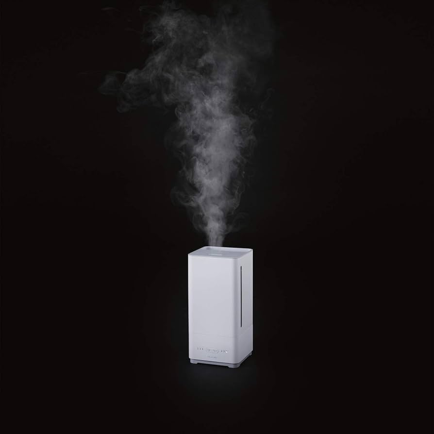 Amazon.co.jp: 【2019年モデル】 エレコム エクリアミスト プロ 法人