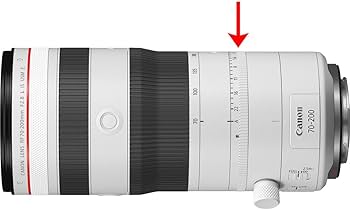 Amazon.com : Canon RF 70-200mm f/2.8 L is USM Z Lens (6594C002