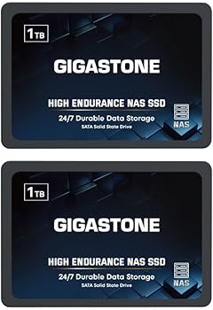 Amazon.com: Gigastone 【NAS Certified】 High Endurance 1TB SSD (2