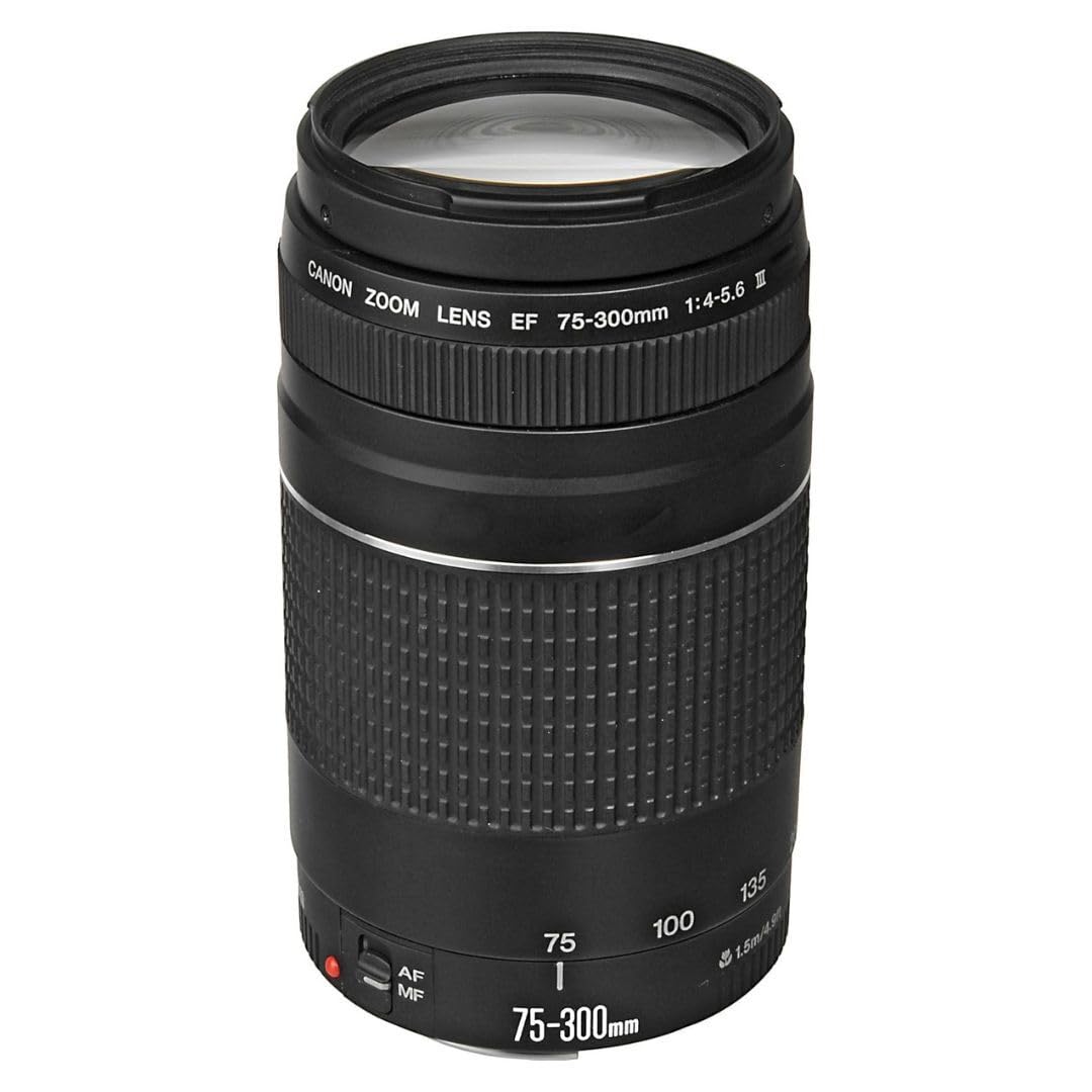 Amazon.com : Canon EF 75-300mm f/4-5.6 III Telephoto Zoom Lens for