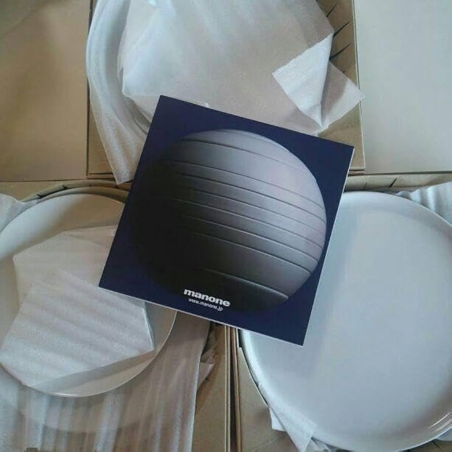 有田焼 月の皿 マノーネ manone