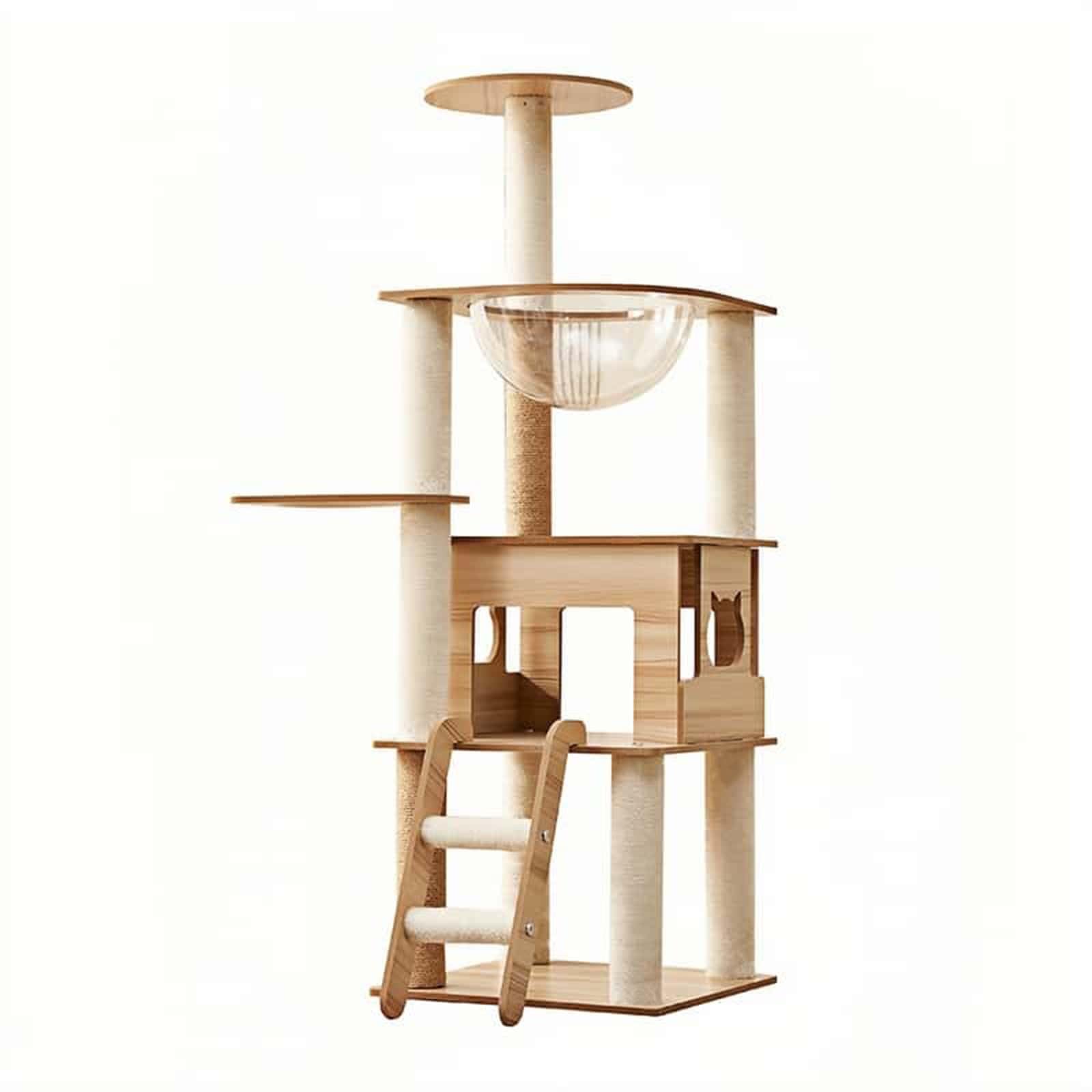 セリストン研究所 パワープレート大 直径約6cm 厚み 3mm ×30枚