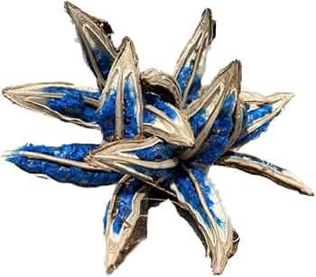 51I3DObKIDL._AC_UF350,