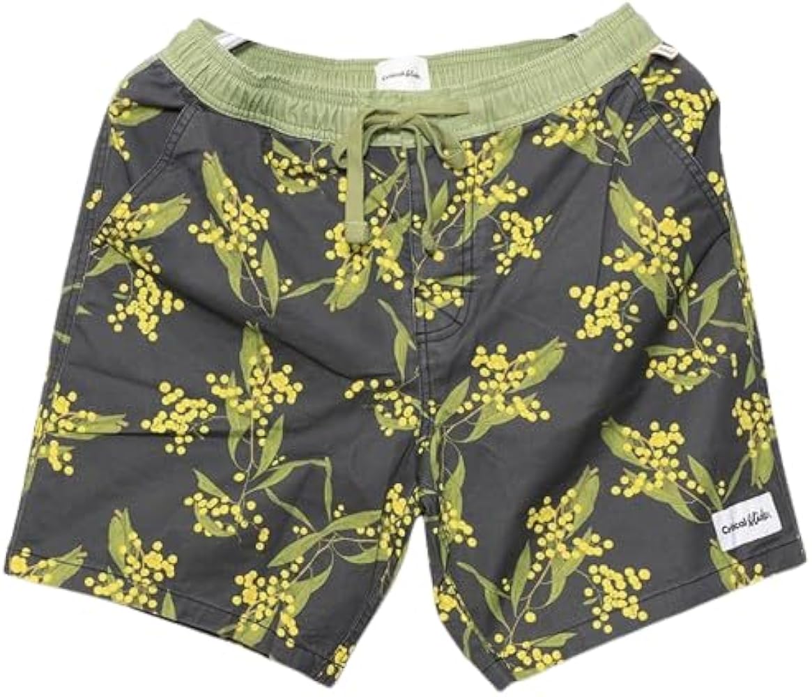 Amazon.co.jp: [TCSS] ボードショーツ サーフパンツ Critical Slide