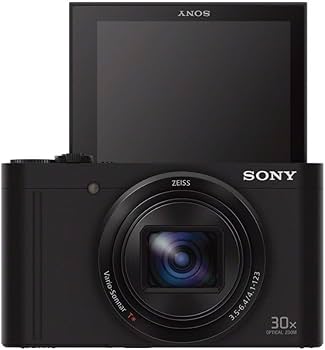 Amazon.com : Sony Cyber-shot DSC-WX500 Digital Camera (Black