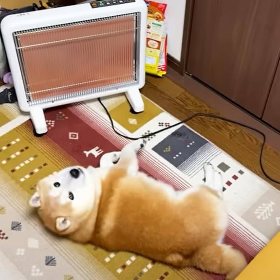 51IfHItFPWL._AC_UF894,