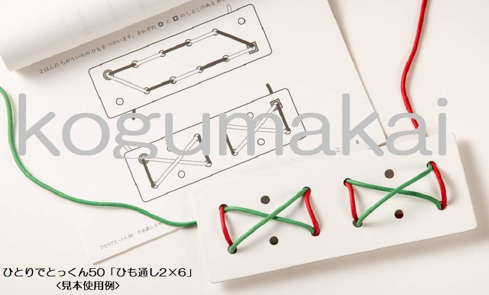 ひも通し2×6(ひもの色はランダムで2本入り) (手先の巧緻性) | こぐま会