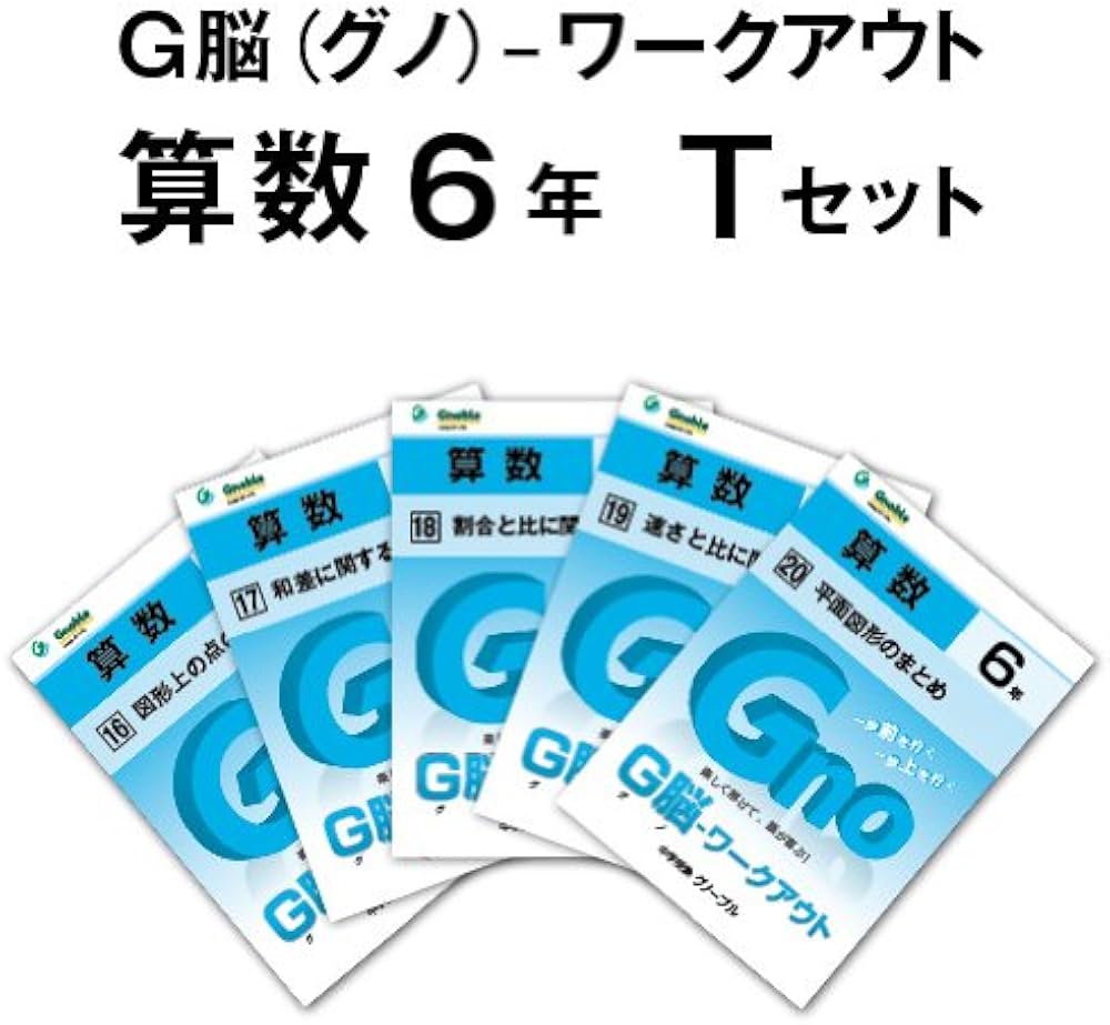 Amazon.co.jp: G脳(グノ)-ワークアウト6年算数 Tセット(No.16~20) (G脳