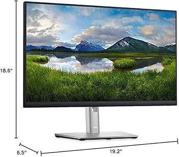 Amazon.com: Dell P2225H 22