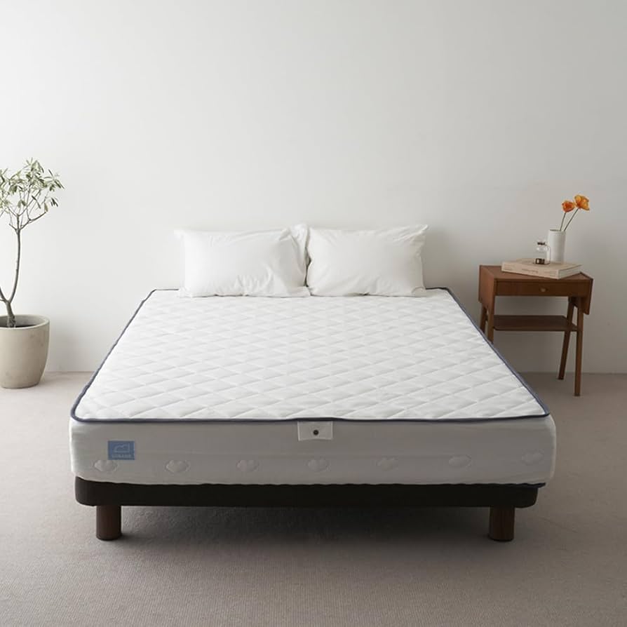 Amazon｜【メーカー公式】 雲のやすらぎ プレミアム 3R シングル