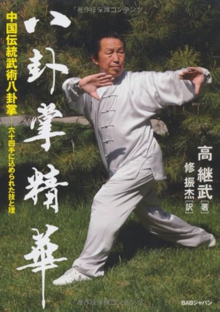 八卦掌精華中国伝統武術八卦掌─六十四手に込められた技と理
