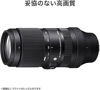 Amazon.co.jp: シグマ(Sigma) レンズ 100-400mm F5-6.3 DG DN Sony