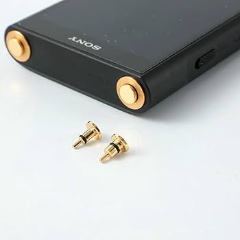 Amazon | に適合する ソニーウォークマン NW-A306 NW-A307 NW-ZX706