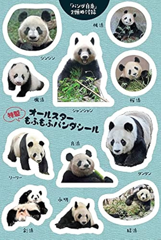 パンダ自身 初号〜7号 まとめ売り パンダ自身 初号〜7号 まとめ売り