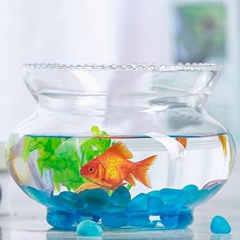 Amazon | 金魚鉢 金魚鉢 ガラス 金魚鉢 おしゃれ ガラス 飼育鉢 丸型
