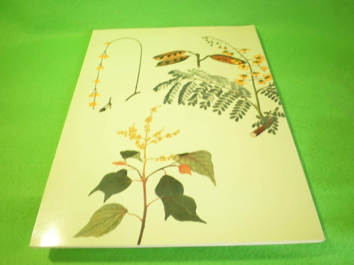 Amazon.co.jp: 絵画 図録 『シーボルト旧蔵 日本植物図譜展』 川原慶賀