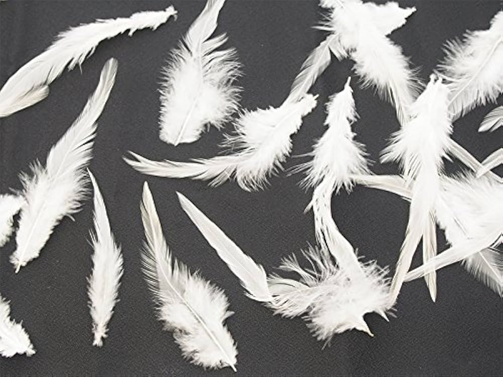 Amazon | スペイコック [027-Fe-01］ホワイト/フライマテリアル 羽根